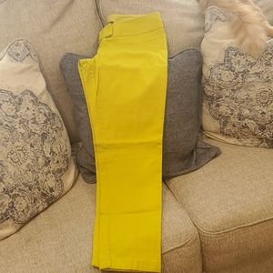 Outback Red Straight leg dress pants